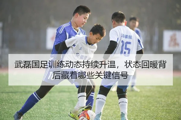 武磊国足训练动态持续升温，状态回暖背后藏着哪些关键信号 | DouYu